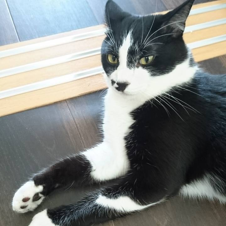 36262427 63ae 4f2d a8b4 44592fa5c2c4