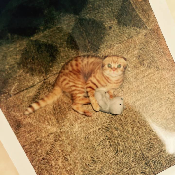 36266376 b251 48fb 8672 a654bd6e0d73