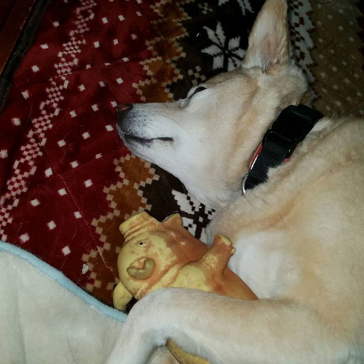 3626656c 98ee 420d b6bd 425645908725