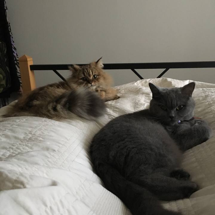 3626a0b6 2564 4274 a405 6ee6b1d0d8cf