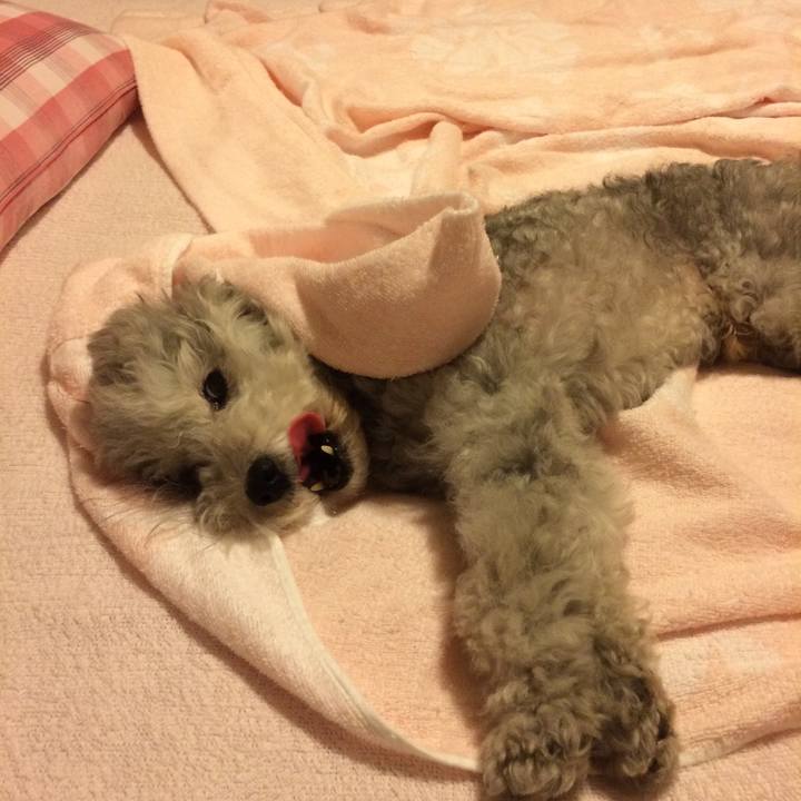 3626dbff e81c 4a99 a903 94453e9056bf