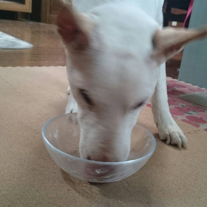 3627637f 818f 4636 8e89 488f6cccaf47