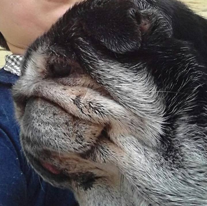 3627b138 c6b9 4e33 85b4 2b14c5464e72