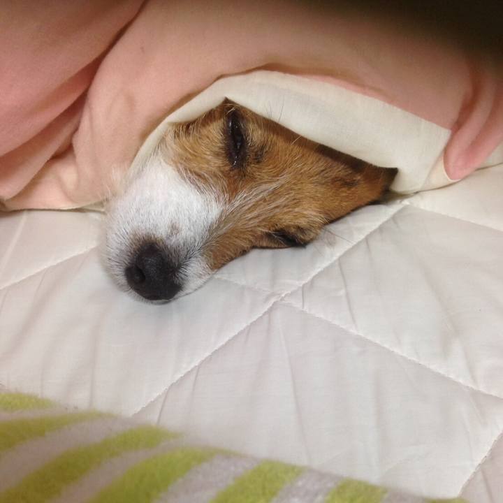 362a45e9 d9fe 4a26 b77a a4c8d7b9ae6e