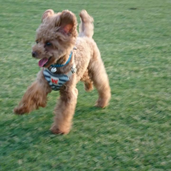 362aa80f bb25 4b61 8cc0 2521cbe3bacf