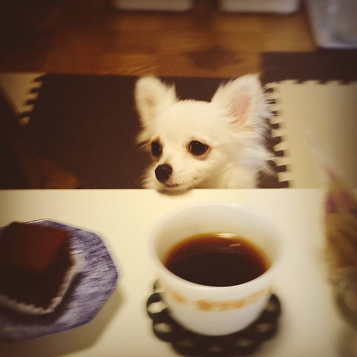 362ad271 96b8 44a5 a00c 8acfcfc0e343