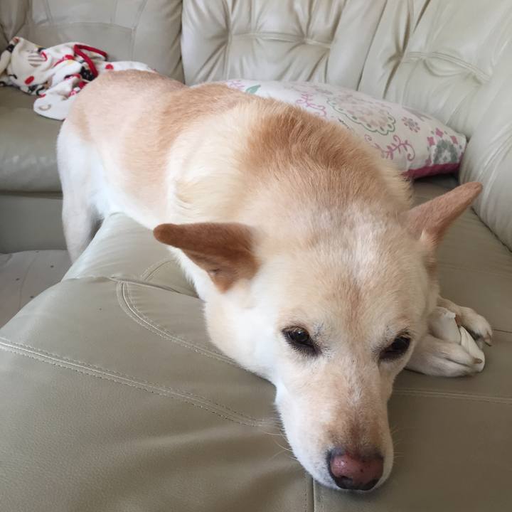 362b5a11 8dc3 4ce9 bfa5 08c5774705ad