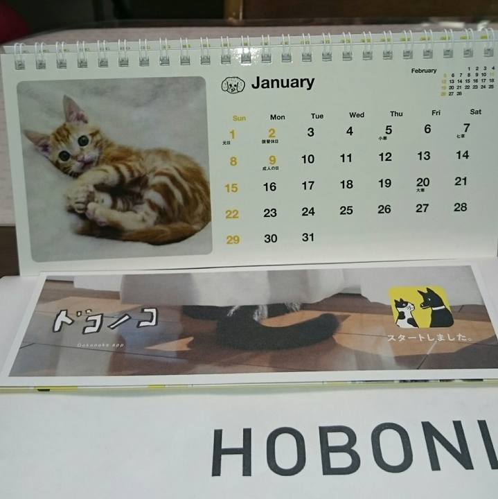 362b8231 d606 4d1f 9dc6 c958c7959a0a