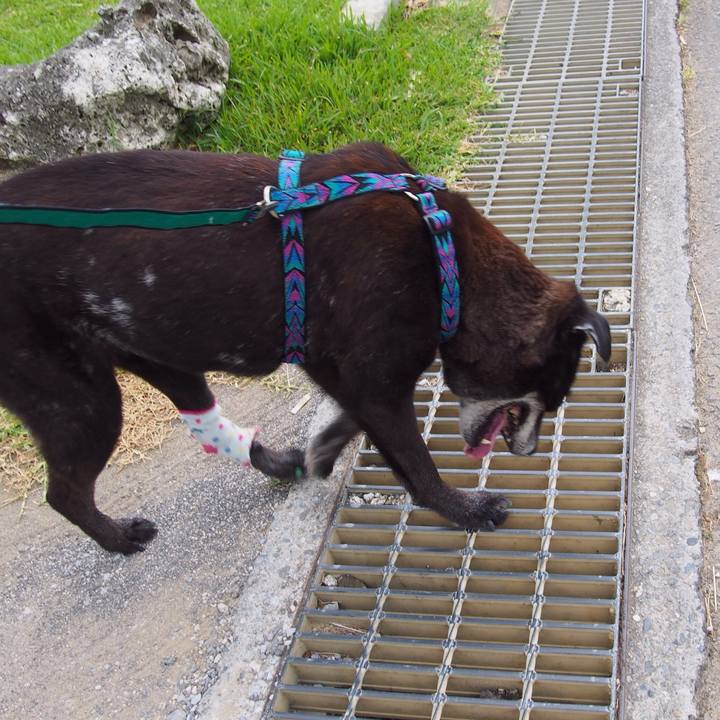 362bf36c 053f 42c8 8708 dc32b1d41d0d