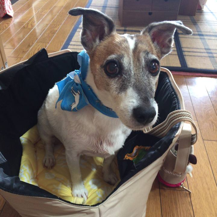 362c3aa7 032a 49d9 9c36 4acf7a7d0a64