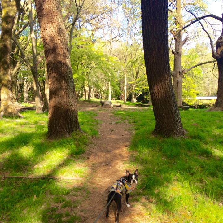 362c45c4 903d 4336 9da9 541ab72df565