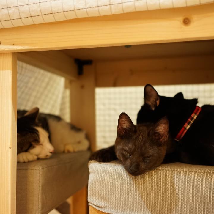 362d50d3 990b 46d7 ac75 f76a46c44dd5