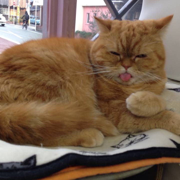 362e3b9e caa7 4c73 b0af 985cc0f7d706