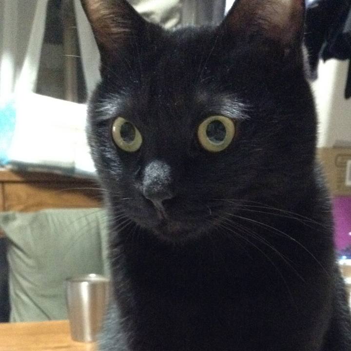 362e405f 1c41 46e2 a783 586a890396c4