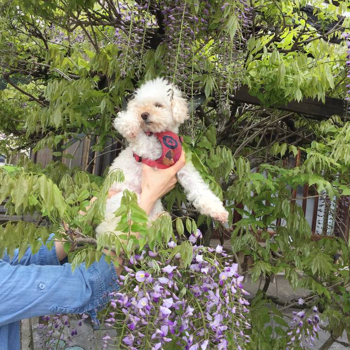 362e9278 c373 48e8 a933 3977c9aa1bdd