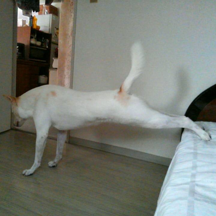 362fc16c 87bd 4bfd a322 747c97998576