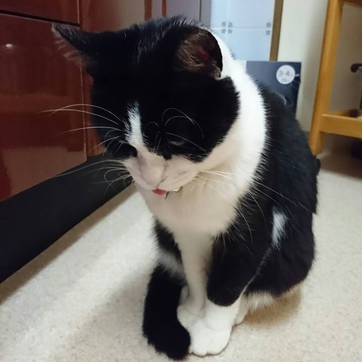 36307302 0a3c 40a2 afad acc384bb9c70