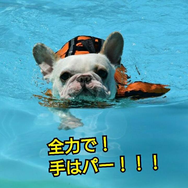 3630da7d 9a14 4bb4 8272 fa86d23a4a29