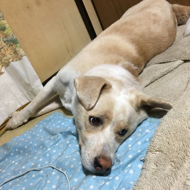 36315997 552f 4f84 aff4 e3bcb853346d