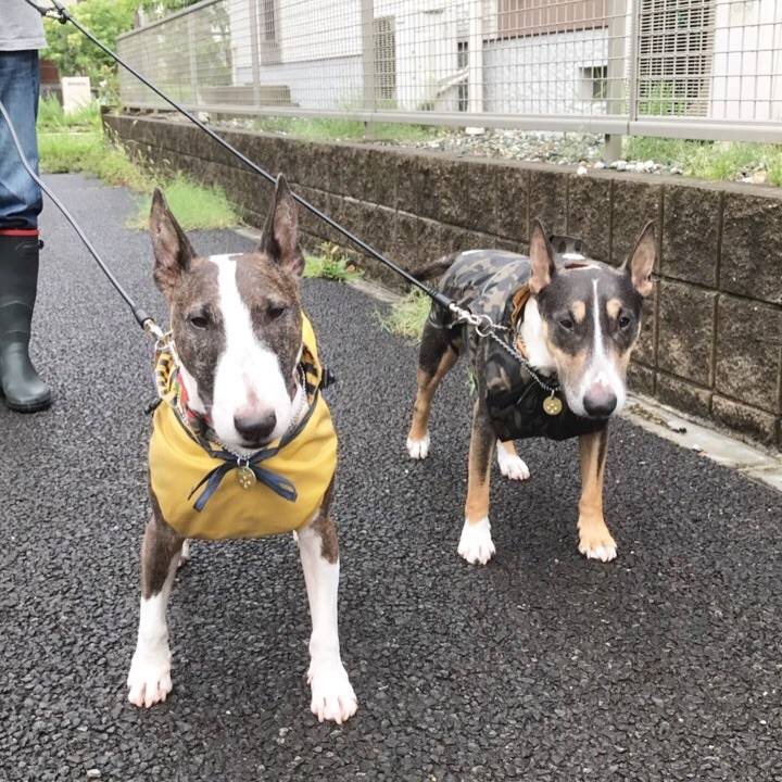 363193aa a729 4a57 93d5 54aa002bc838