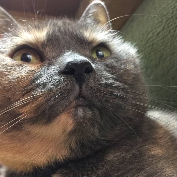 3631947b 1e88 468b 9836 5b54777f6d89