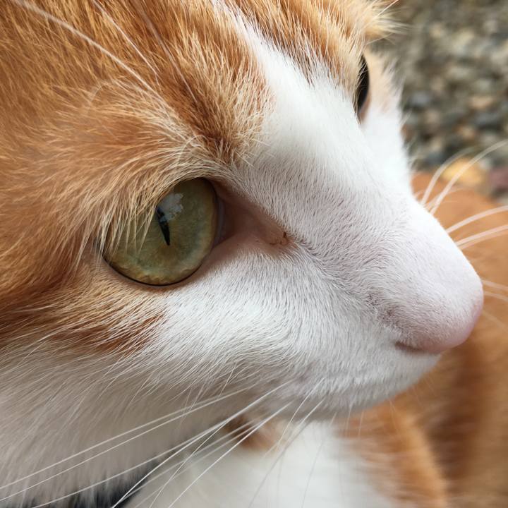 3631b547 9374 4bd4 9cea a85082aec593