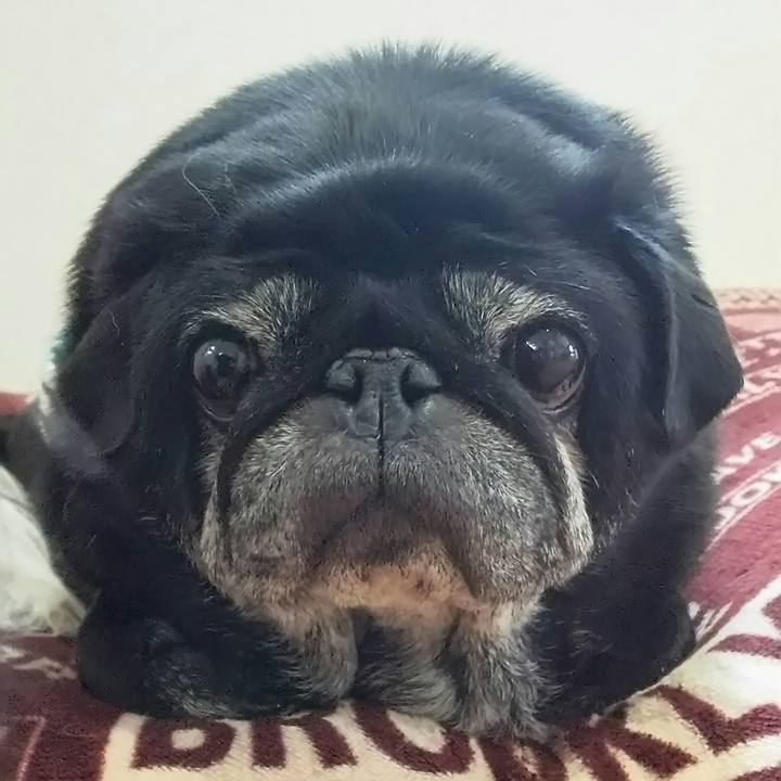 363240b3 d9c1 4f97 943f 2378d2dfeb2a