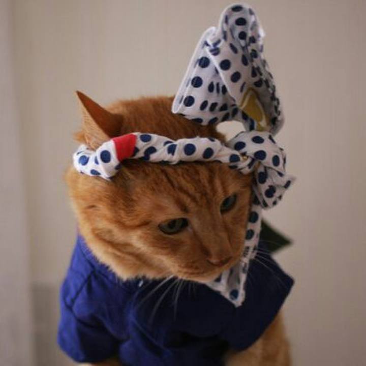 36324bca 7aae 4112 b6a9 41002a39a9ac