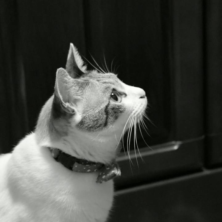 36326637 b31f 4d8b 99ee 830544f089c4