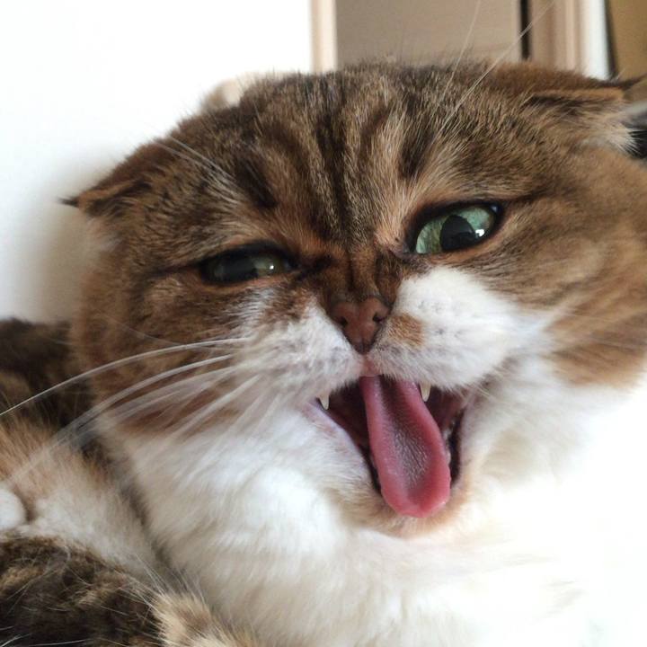 36329d45 47dd 450a 8c61 93edf9c2f228