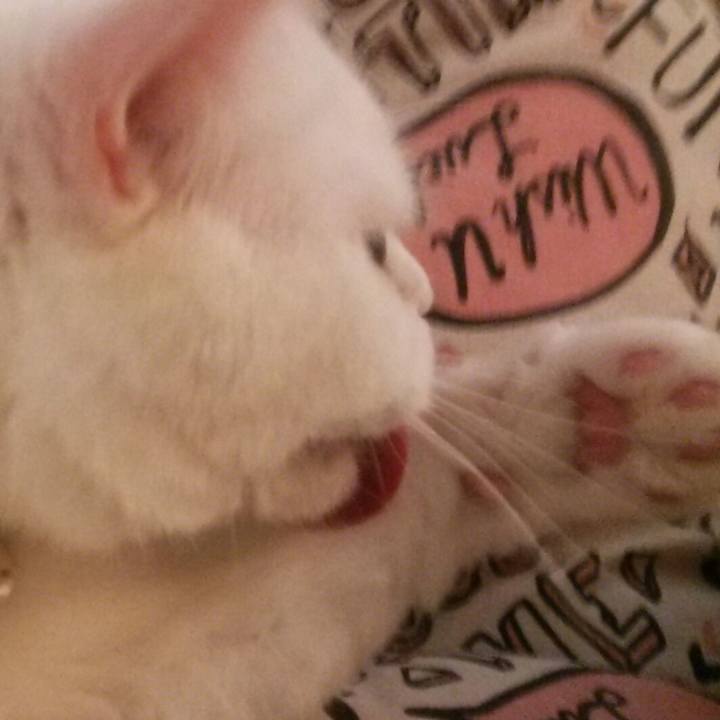 3632f6df eb8a 4a09 a7b3 ae3f509a1f1c