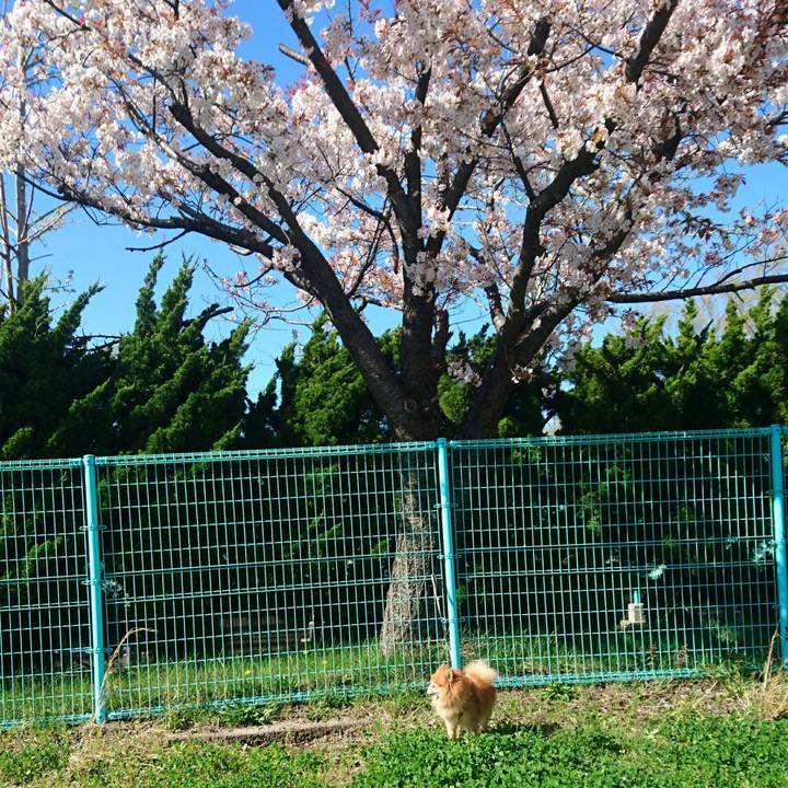 3632fb6d 877a 4f48 b6e7 88004c4fba78