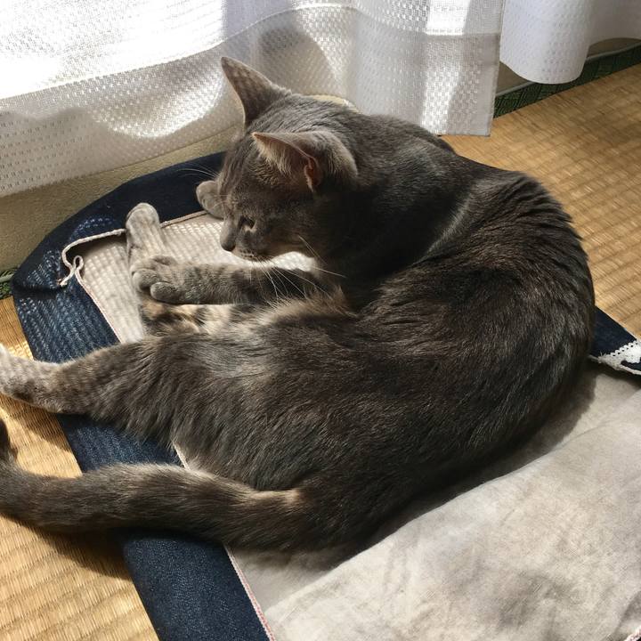 36337a9f b0b2 4cf3 903b ec494cbf251f