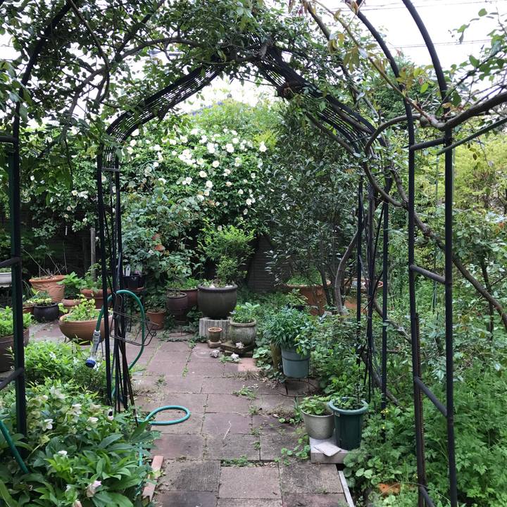 3633f45a cfec 4133 805d d944158a743e