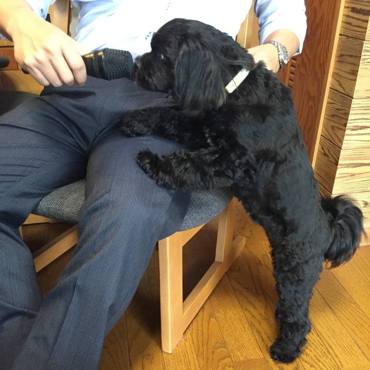 36341307 3697 4070 8683 8315697284a2