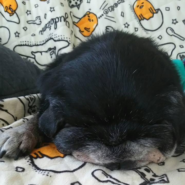 3634758b 84a6 4b17 ab45 18f81d497b15