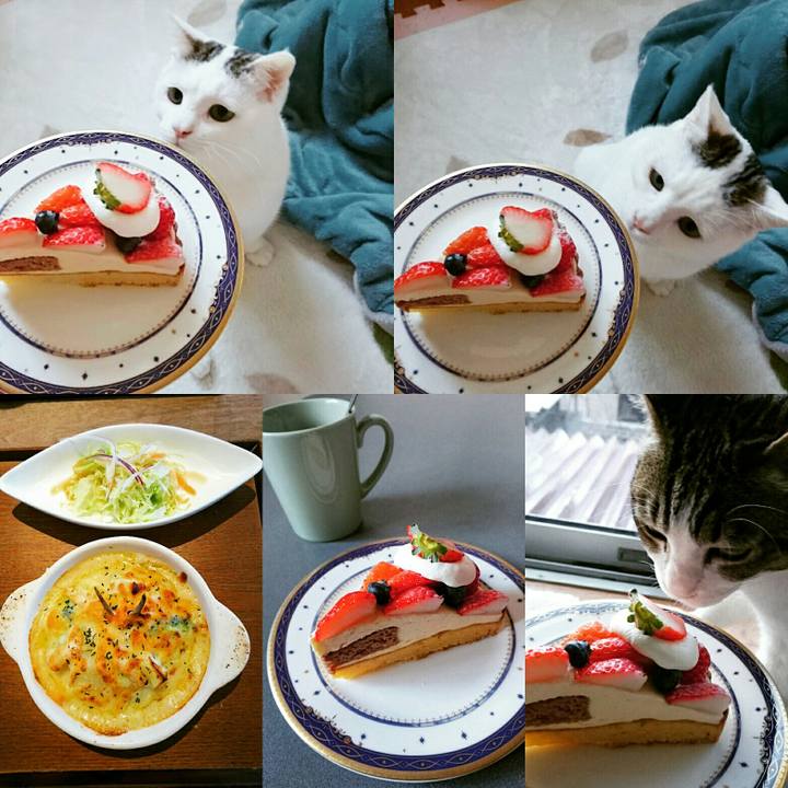 3634c3f0 4706 4eb4 a330 ca736547a94c