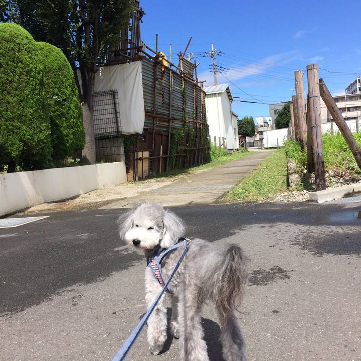 3634fa03 b118 4eca bd00 e3e1fc19d1ef