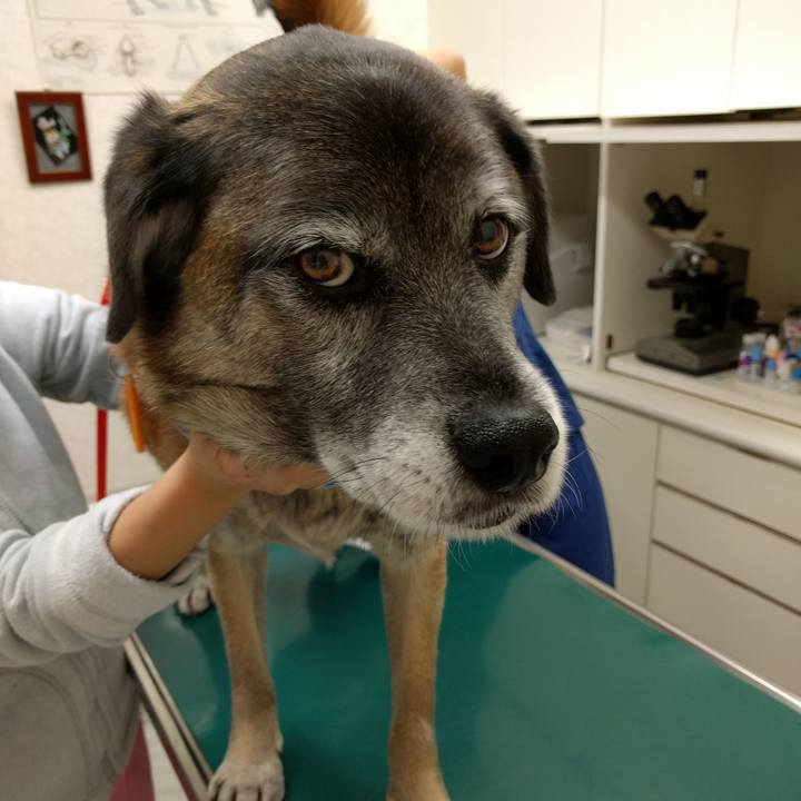 36359e7d 343d 4156 b501 10fd8753f95c