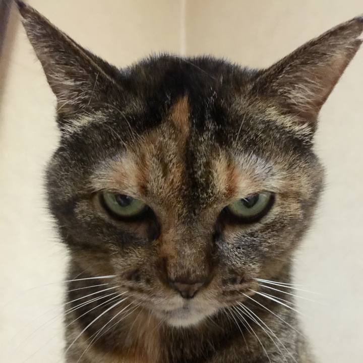 36360b6f 8b09 4a37 ad30 0c5b56b399c3