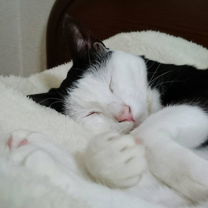 363734c0 bcfb 4cbe bad1 a9eacfe27cbe