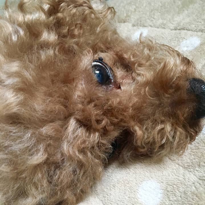 363758bd 8853 450c 939c 70f6fbb14f2f