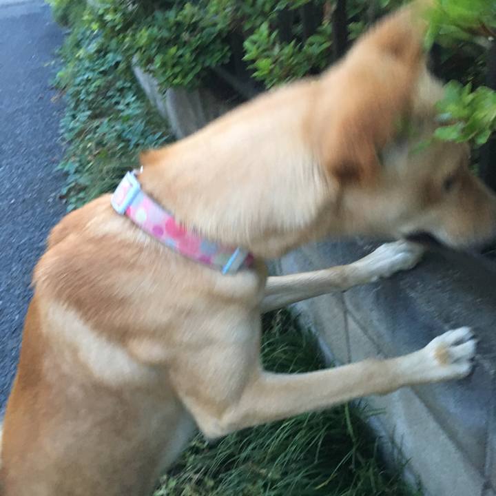 3637c4f8 b3d8 4fe3 9460 bf0bb6641677