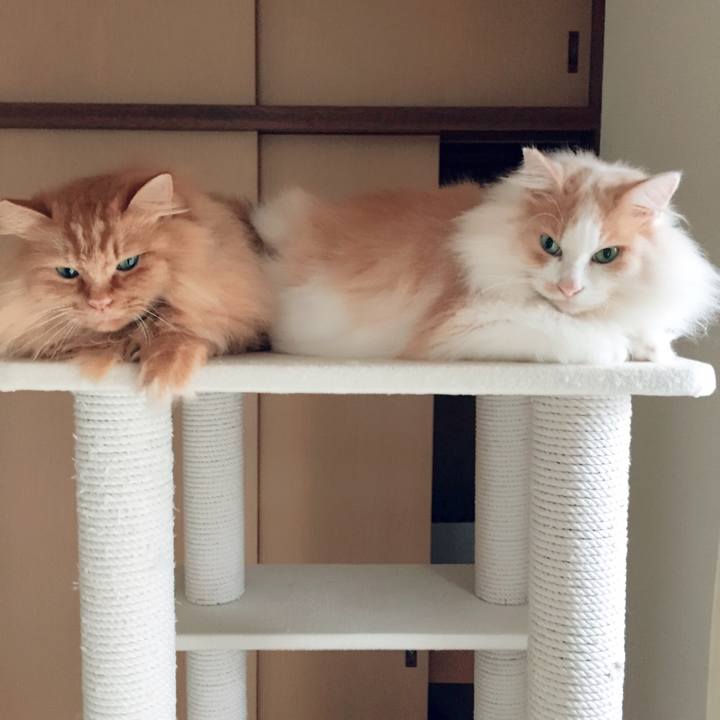 3638170b 001b 4019 8ae7 236059f91f6d