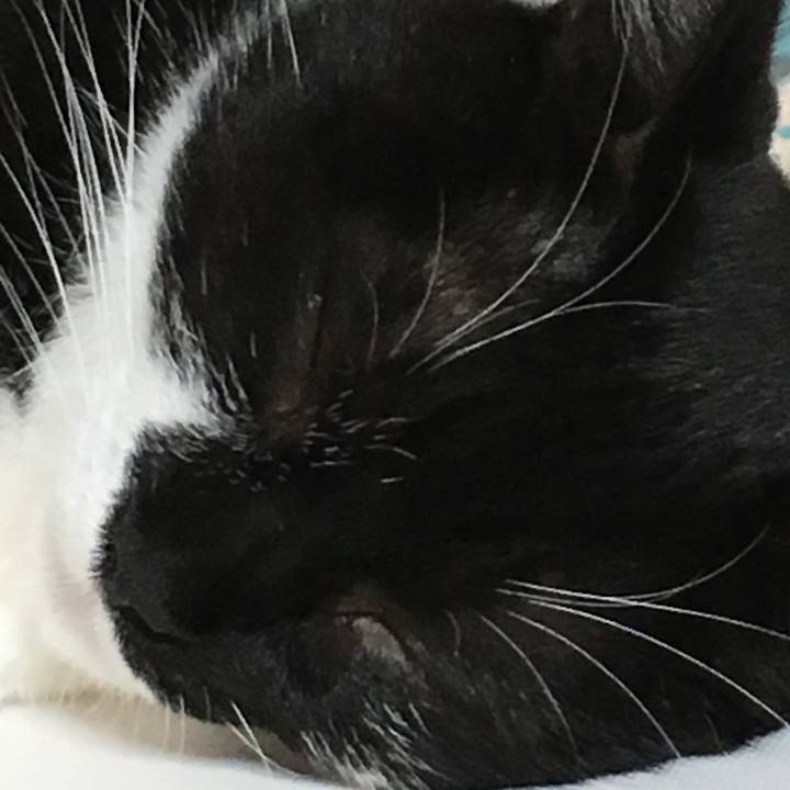 3638ad04 e8e3 4257 b288 81ea8293a802