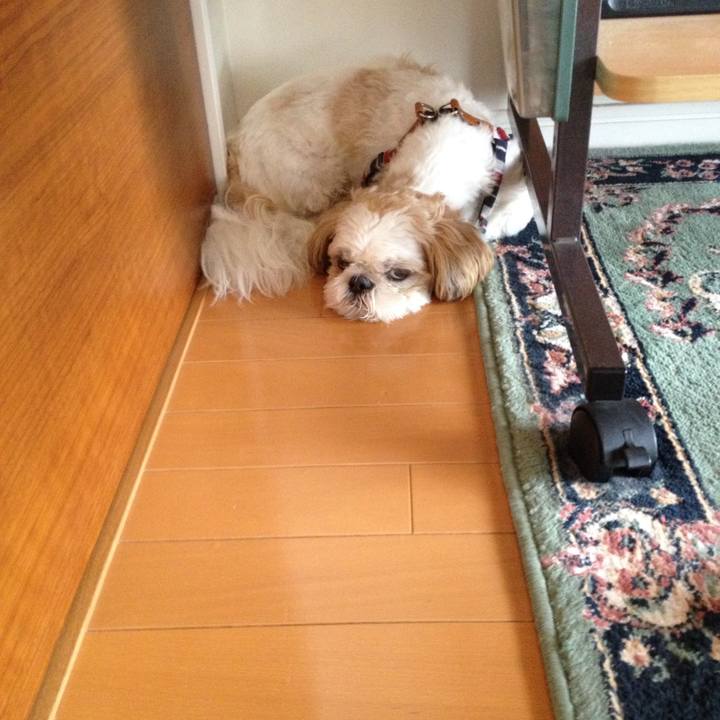 3638dfd2 0c58 4538 ba1d 5354031c2302