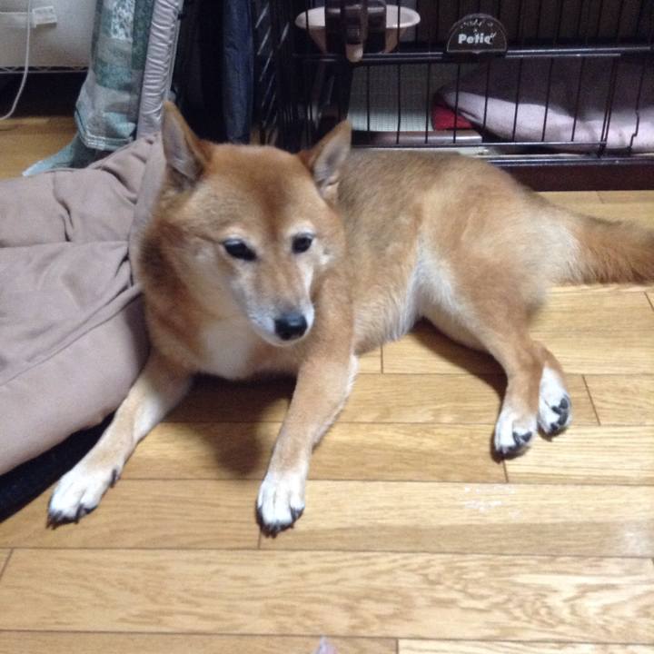 36396734 9de6 4519 b67e 47e7addd378d