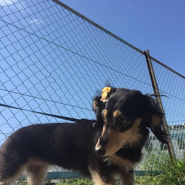 363af7ea 59e3 4409 8466 4f43bb0f1e45