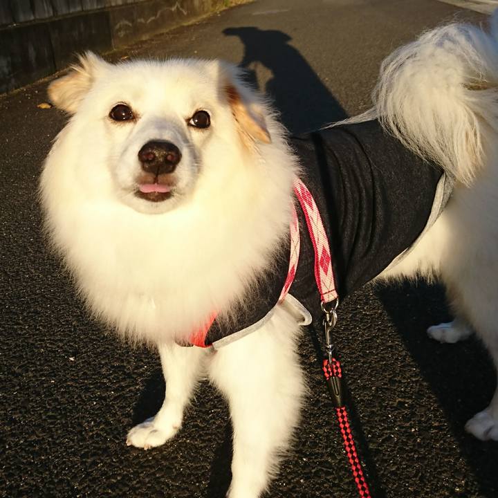 363bb31b de39 4475 a359 2d6c44b2cd97