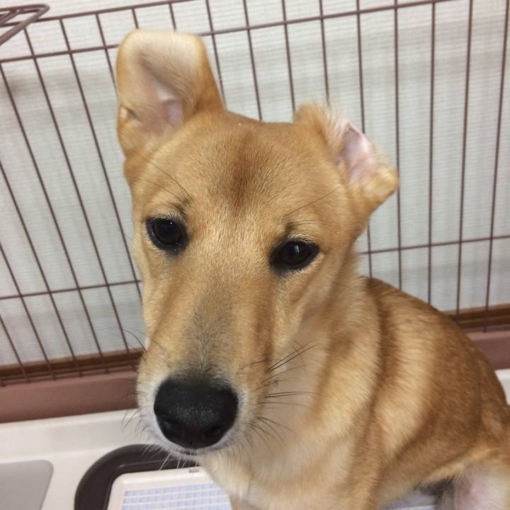 363d547b 7ee2 43c1 a4ba 3c296d3a91c6